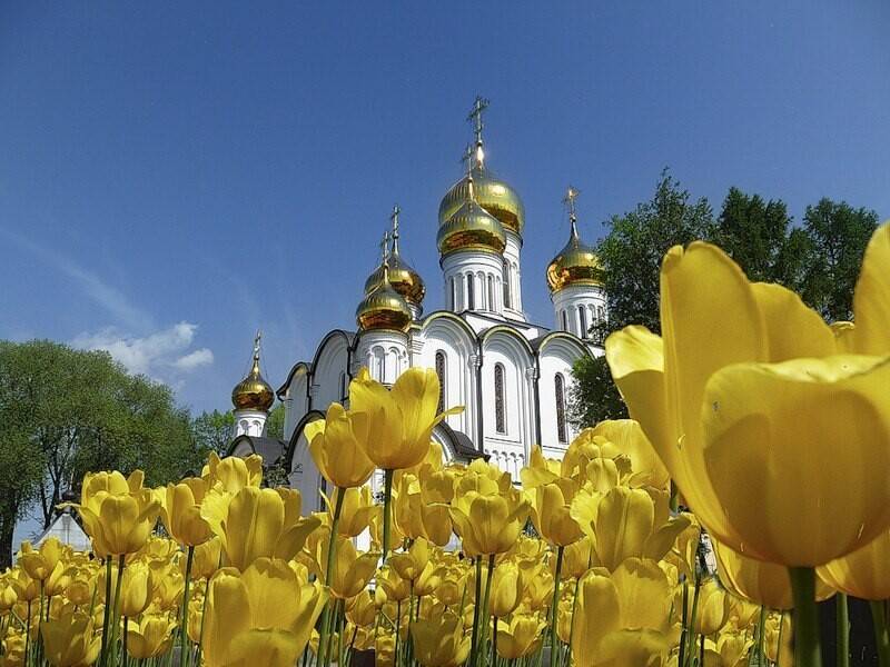 Православная церковь 23 мая 2023 года отмечает День апостола Симона Зилота